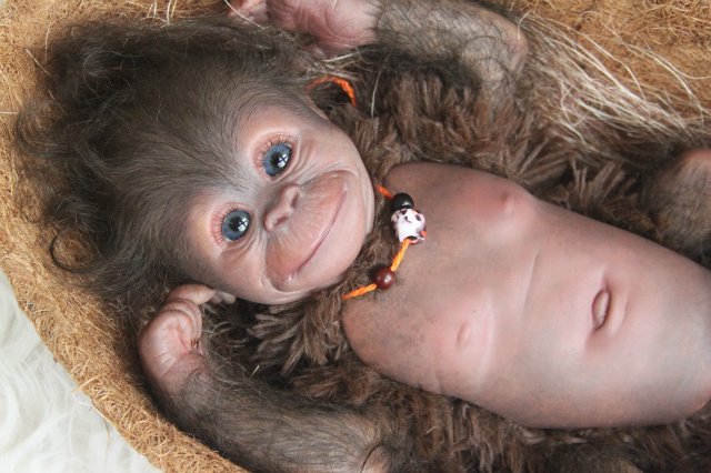 Обезьянка Bindi кукла реборн Элины Кудрявцевой (фото 5)