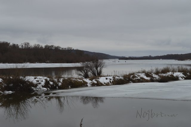 Яркие краски. Вихтели Rosemarie Anna Muller (фото 4)