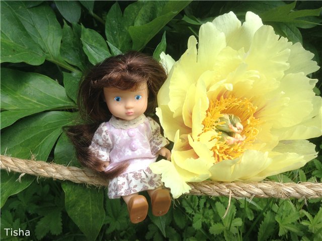 Малышки Sarah Key — Другие мини