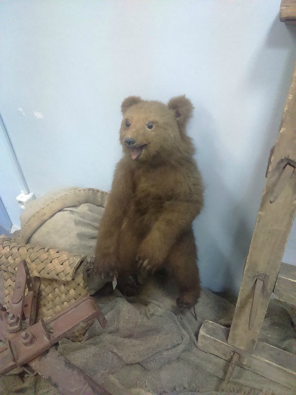 Воткинск — родина гения музыки Петра Ильича Чайковского. Часть 3 (фото 7)