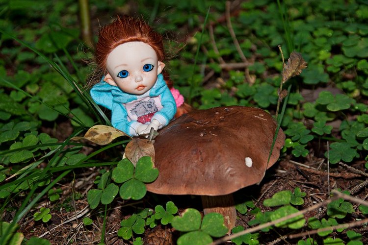 Ника в лесу (Pukifee Ante) | Бэйбики Ника в лесу (Pukifee Ante)