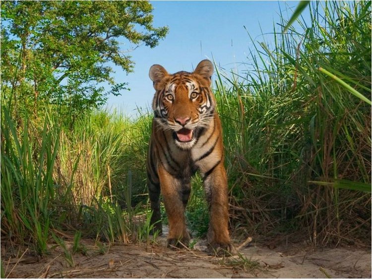 Лучшие фото National Geographic