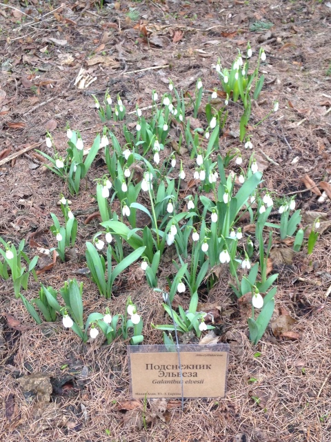 Фотосессия куклы ГДР Косолапки в Аптекарском огороде