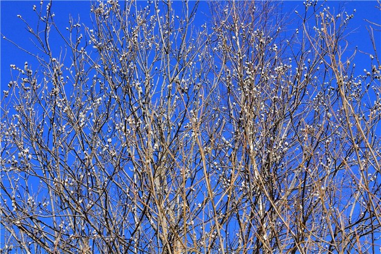 Приключения Адель на водопаде. Джульетта от Sylvia Natterer (фото 9)