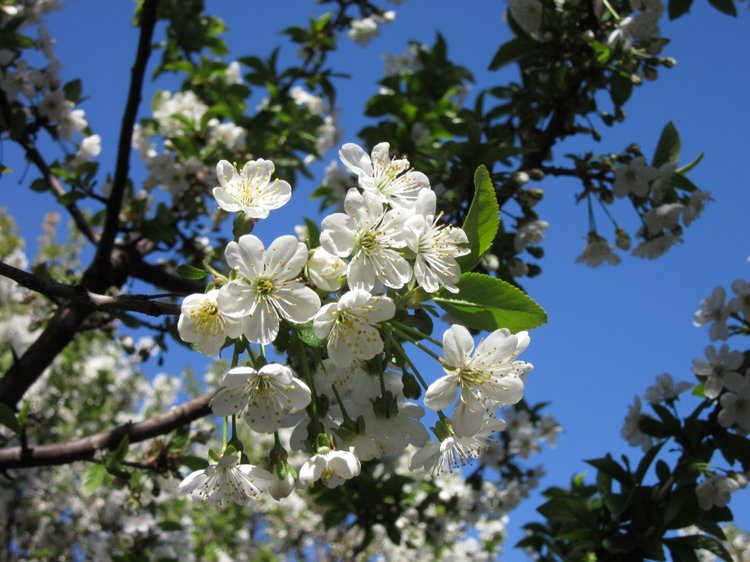 И вновь Хелена посещает логопедический кабинет... а заодно и рассматривает садик