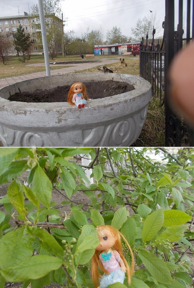 Привет от зимы — Болталка и разговоры обо всем: жизнь (фото 2)