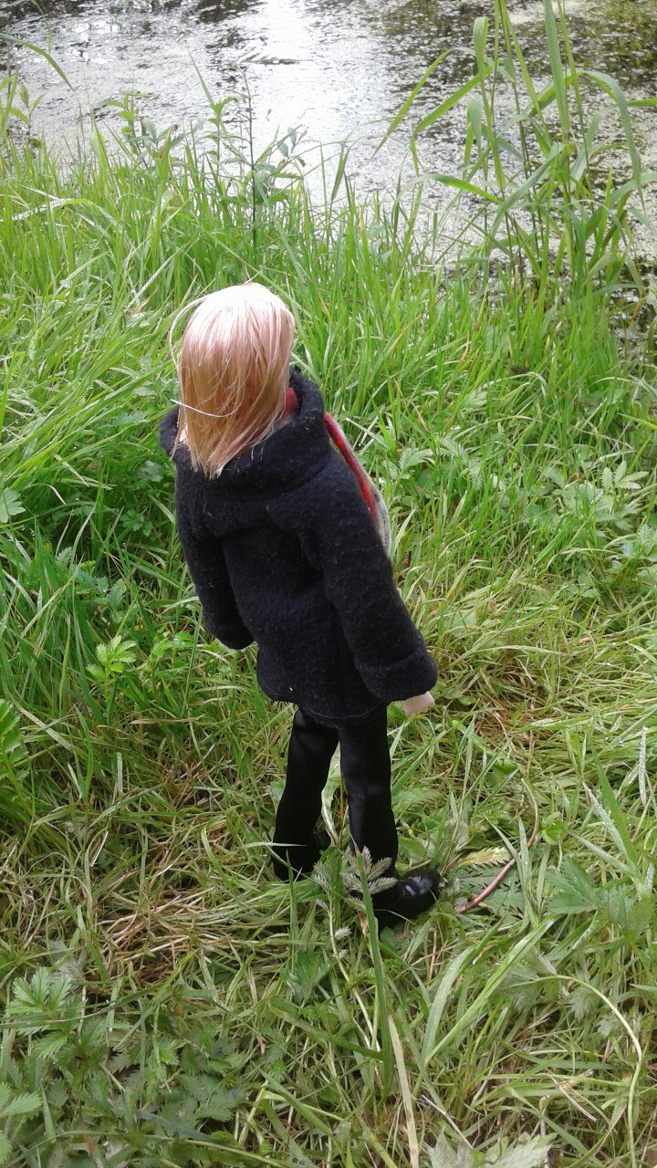 Зимнее солнце. Глава 2. Пруд сбывшихся желаний