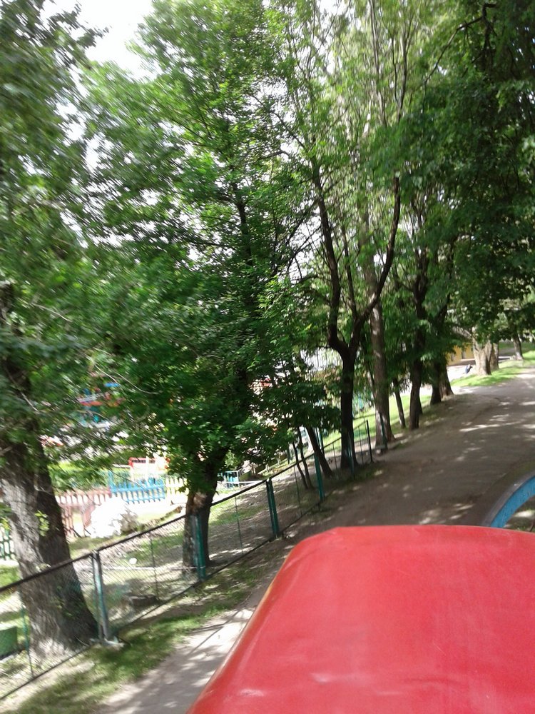 Псков: из лета в лето. Прогулки по городу и куклы