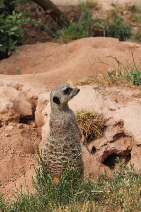 По Германии: зоопарк Лейпцига, часть 3