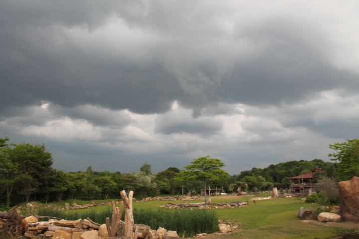 По Германии: зоопарк Лейпцига, часть 3