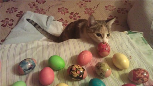 Весенние хлопоты. Realpuki Pupu, Aki. Часть вторая (фото 3)