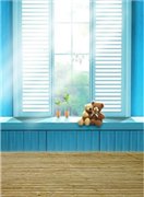 Закрыто. Совместная закупка фонов для фотографирования кукол