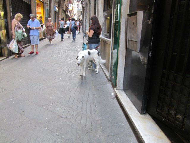 "Моя Италия". Часть 1 - Генуя