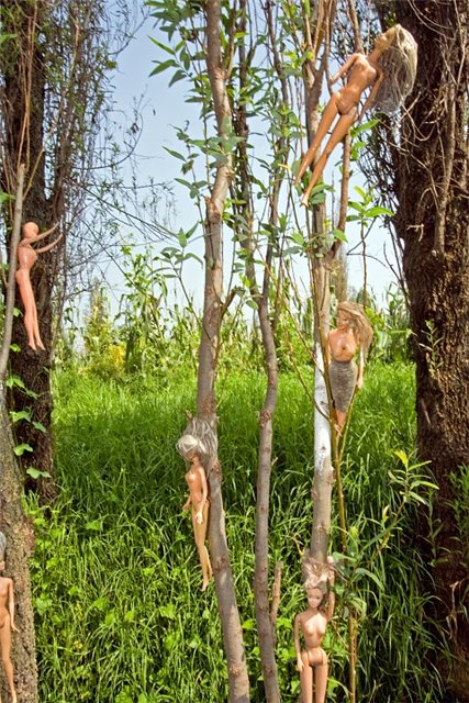 Не детский кошмар или "остров кукол" (фото 7)