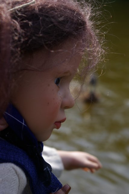 Приезжайте в Кратово — Туризм и путешествия: фотоотчеты из поездок