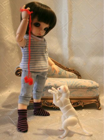 БЖД питомец - кот Као-Мани (фото 3)