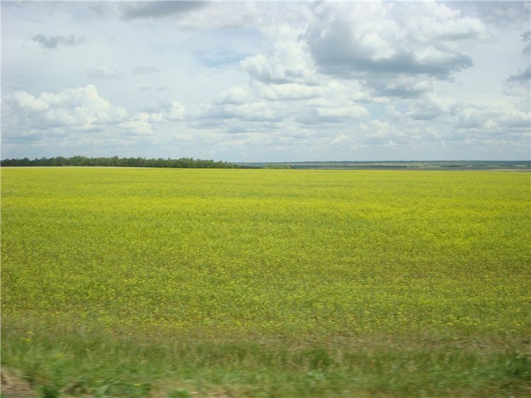 Моя нежная малышка Светлана. Луна Litllefee от Fairyland (фото 2)