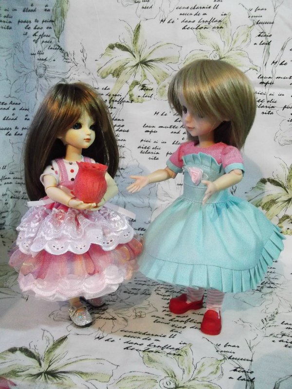 Мои Пташа и Наташа или новый опыт в пошиве одежды (фото 4)