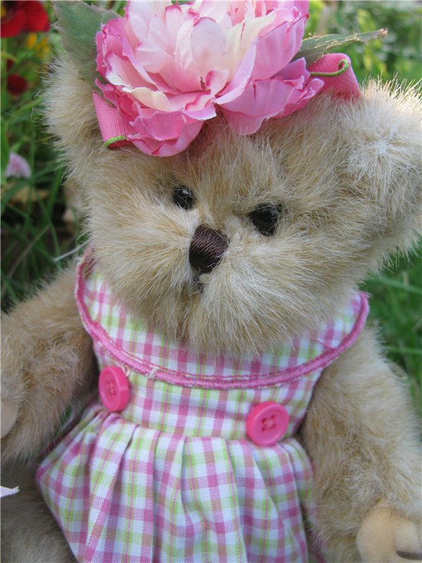 Моя семейка плюшевых мишек Bearington (фото 6)