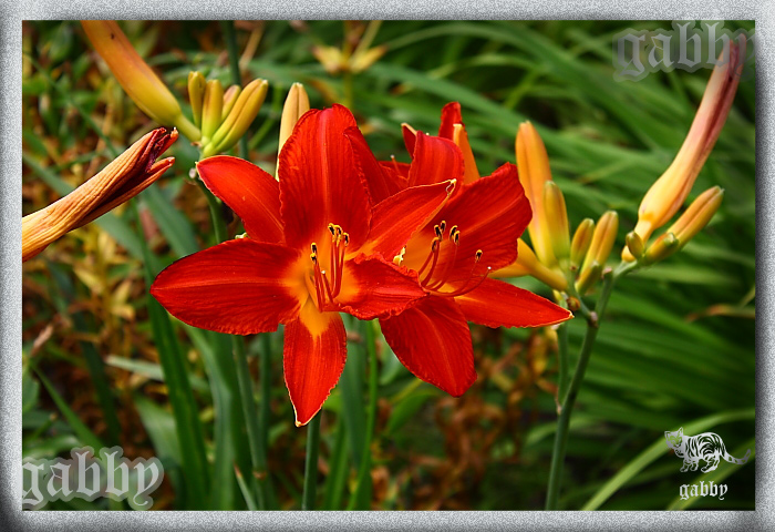 В осенние денёчки, вспоминаем о лете (фото 7)