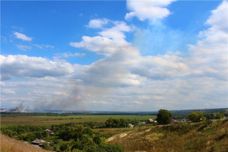 Первая прогулка Тилли в России. Tillie, Kaye Wiggs (фото 2)