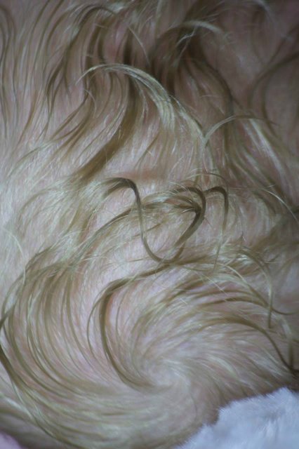 Прототип Cathy Кэти Olga Auer (фото 4)