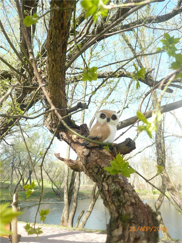 Про Мишку. Коллекционный Мишка Панда от Charlie Bears