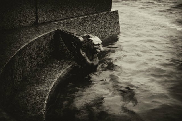 Прекрасная ошибка или Петербургом хочется дышать. Путь к сердцу