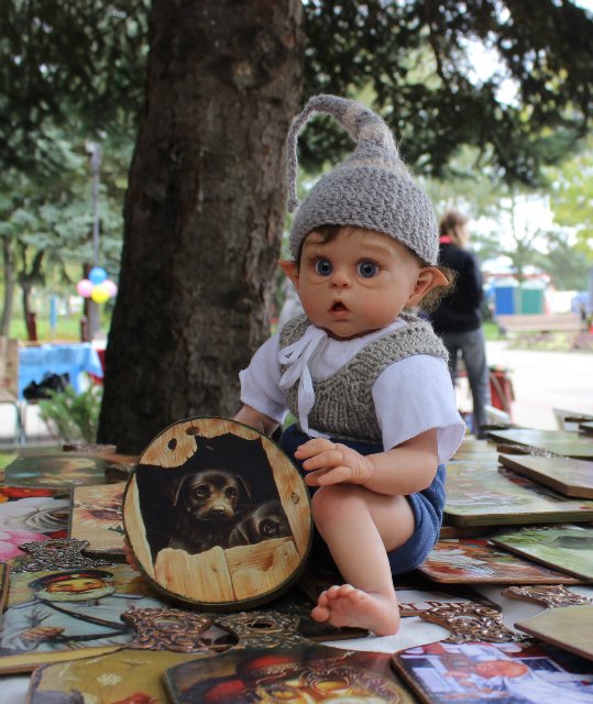 Фестиваль Котофест в Пятигорске. Куклы реборн Елены Ядриной