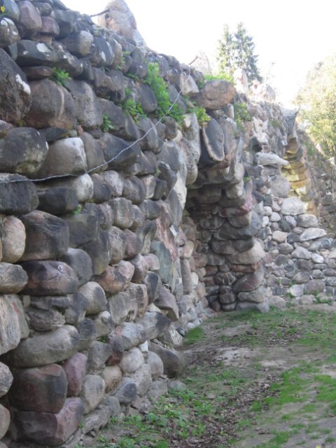 Лерочка и небольшое путешествие по Тверской области