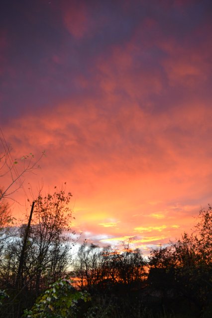А у Гвэн появилась сестренка (или братик)