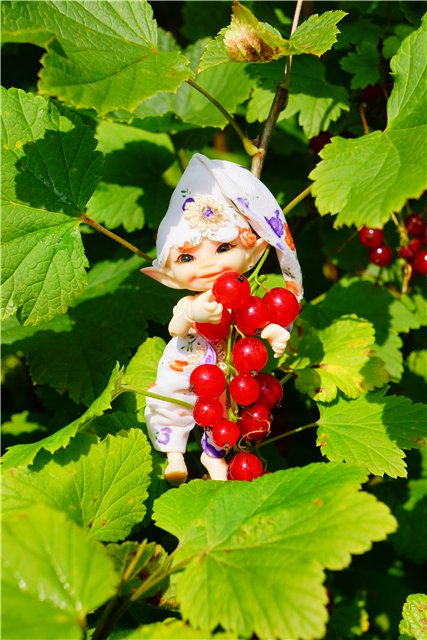 Цветочный эльф | Бэйбики Цветочный эльф — Куклы Fairyland (ФэйриЛэнд): BJD (БЖД) (фото 8)