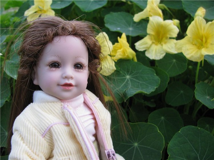 Жизнь моих маленьких Адорок