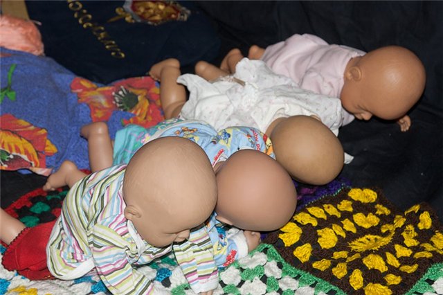 Чем бы заняться сегодня?... Анечка и другие (фото 6)