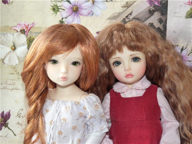 Семья Iplehouse или Иплов много не бывает (фото 4)