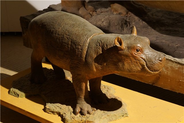 Взятие Берлина. Часть 3. Аква-дом, Улыбка бегемота и Прототип куколок Шильдкрот