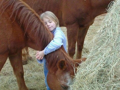 Как прекрасен этот мир, посмотри... "Хороший фотограф тот, кто сумеет выстроить на одной оси глаз, голову и сердце"