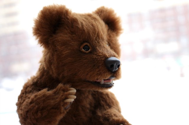 Медведь Даниель. Мишка тедди | Бэйбики Медведь Даниель. Мишка тедди