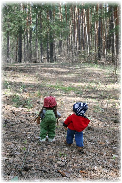 Небольшой поход Вихтелят на Ирдынские болота