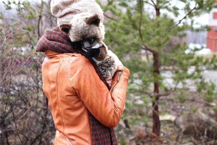 Енотьи прогулки. Авторские игрушки ручной работы Татьяны Матляк | Бэйбики Енотьи прогулки. Авторские игрушки ручной работы Татьяны Матляк (фото 9)