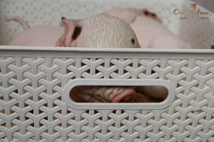 Свинка Пеппа и её младший братик Джордж. Поросята реборн Наталии Сомовой (фото 7)