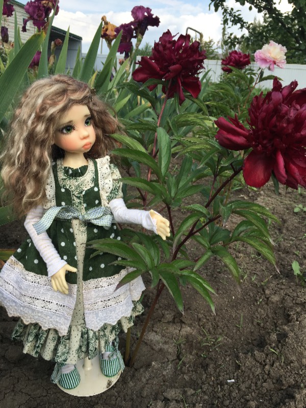 Мой цветочек, мой бриллиантик, моя звездочка... Нисса (фото 3)