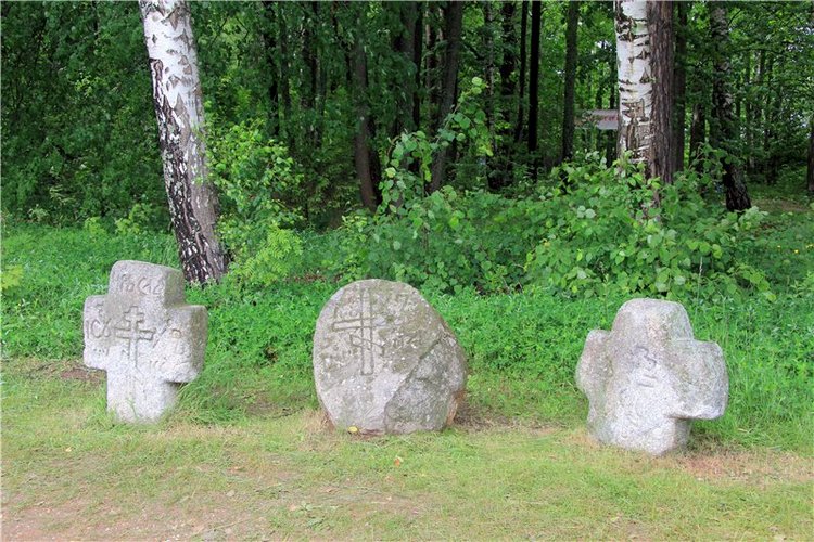 Троицкие гуляния у деревни Василёво, часть первая. Архитектурно-этнографический музей под открытым небом "Василёво"