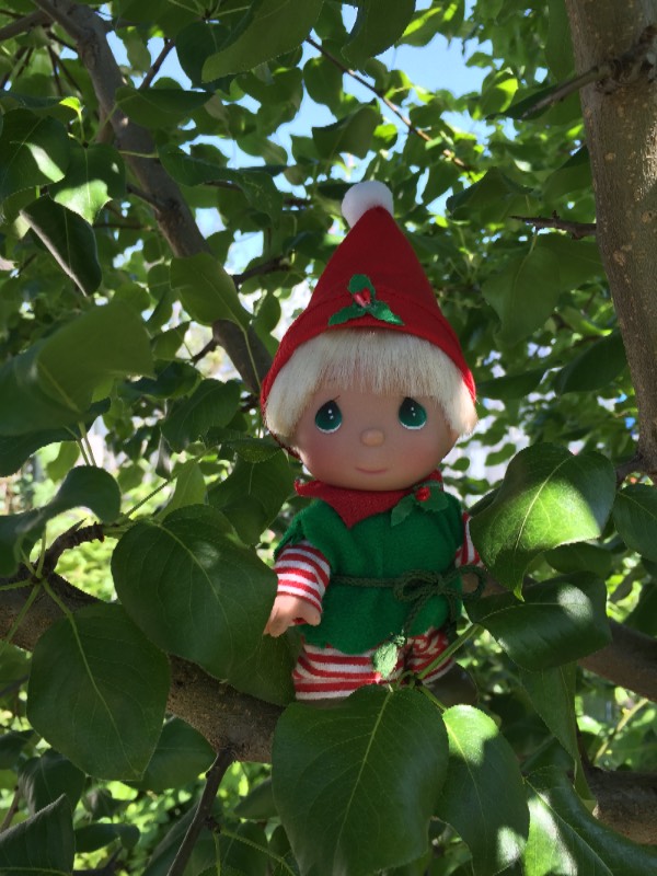 Наш ягодный Гномик от Precious Moments (фото 4)