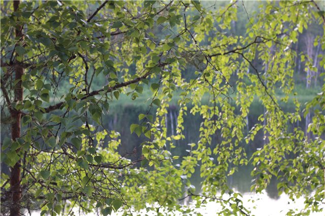 Аленький цветочек, сказка