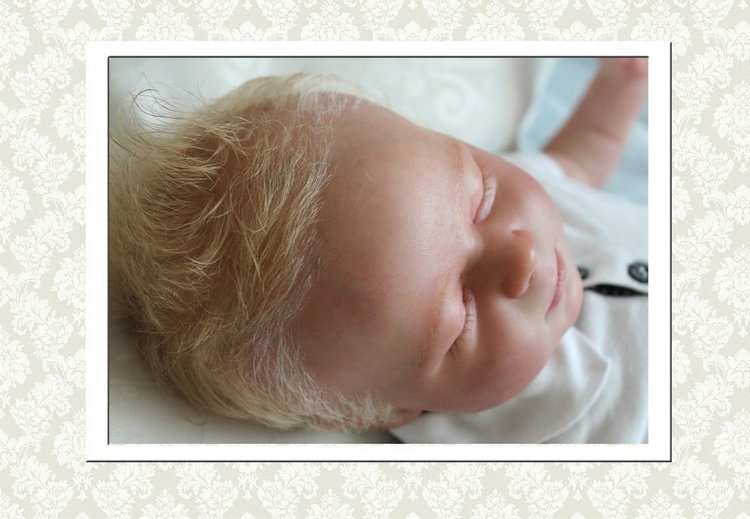 Реалборн Кимберли, сейчас принц Гарри (фото 7)