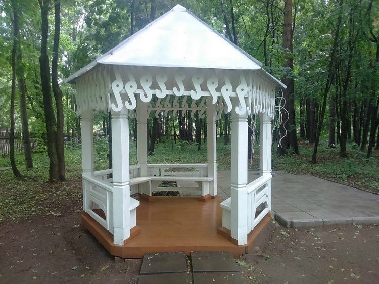 Путешествие в город Сарапул. Часть 1 - Дача Башенина (фото 10)