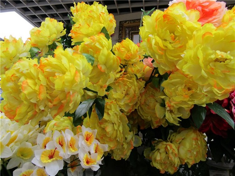 Мы с капусткой не грустили - хобби-маркет посетили