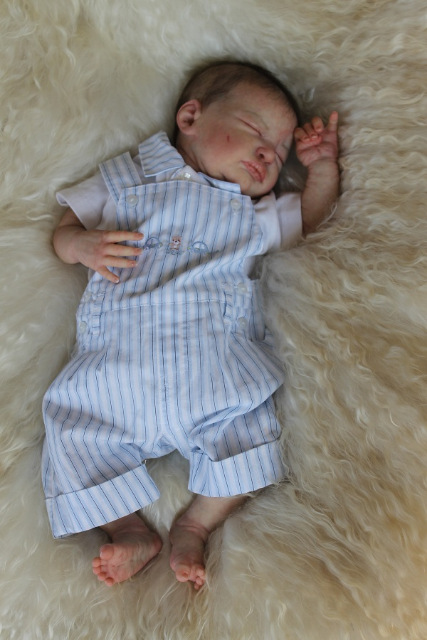 Сиренити от Екатерины Бойковой. Serenity Laura Lee Eagles