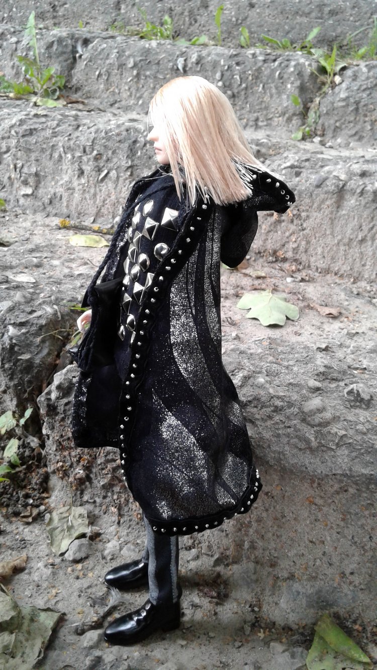 Зимнее солнце. Глава 1. Сказочный поезд